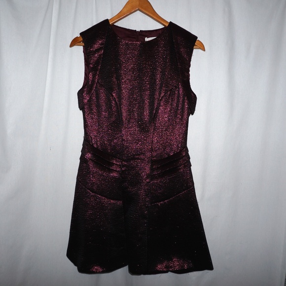 NWT SASS & BIDE A Fallen Star metallic Dress S 4 - Picture 3 of 8